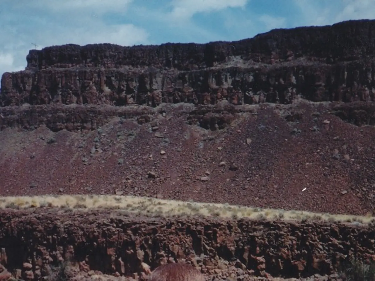 Understanding Primary Immunodeficiency: A Look at Diseases Affecting the Immune System