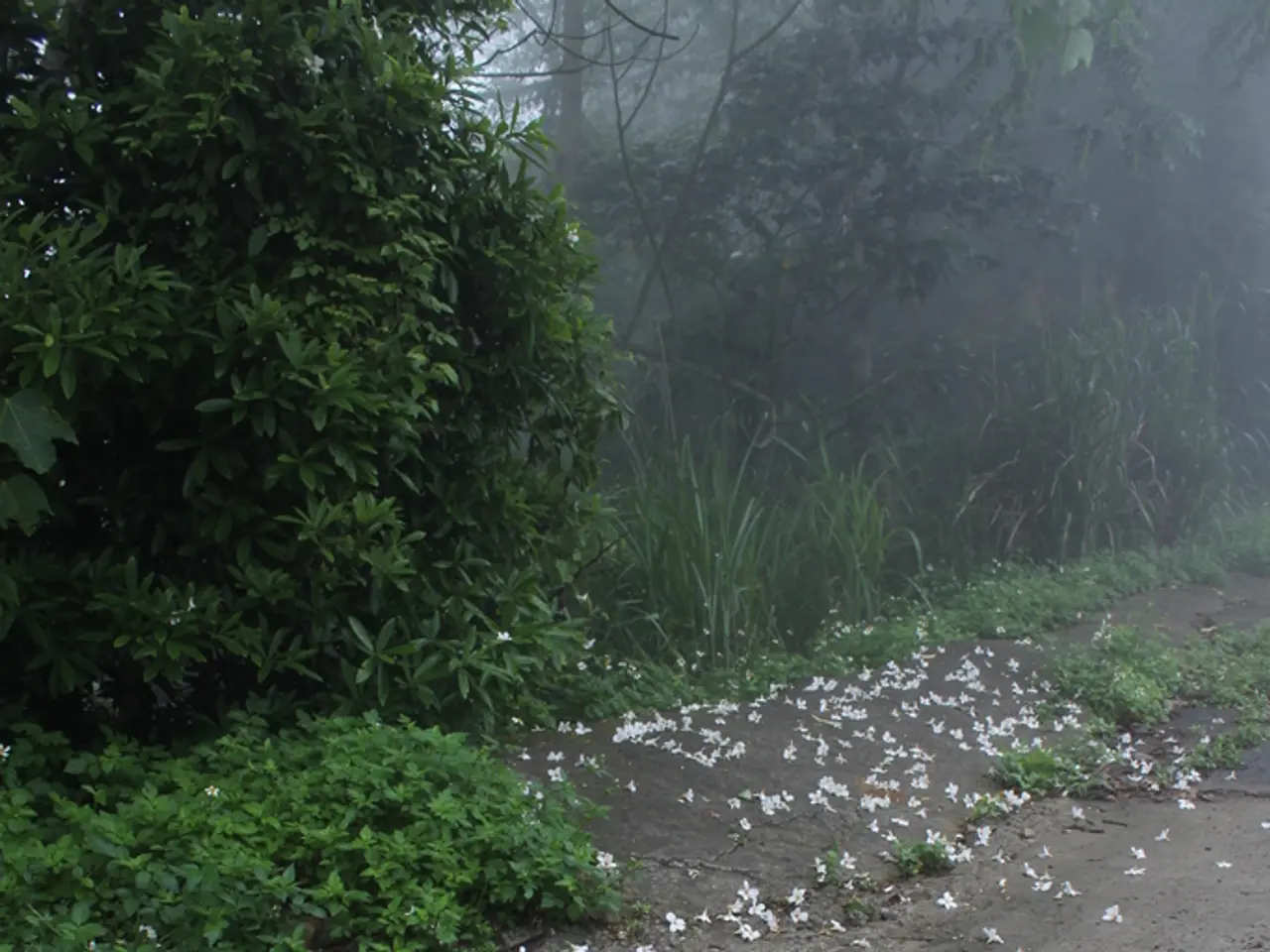 Gene Activation Halts Colon Cancer Progression in Mice within 4 Days