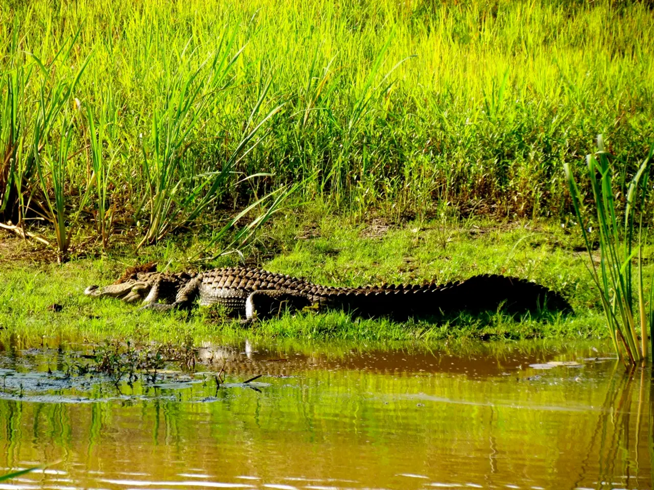 Space Life Lessons from Coral, Tardigrades, and Fungi Celebrated on International Day of Human...