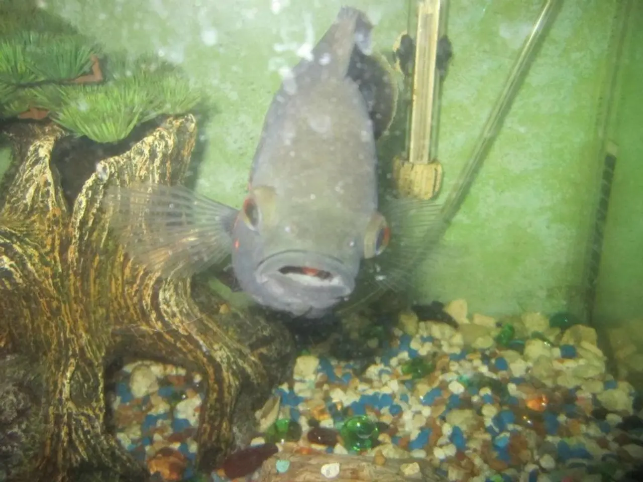 Fecal incontinence: Symptoms, causes, remedies, and further details