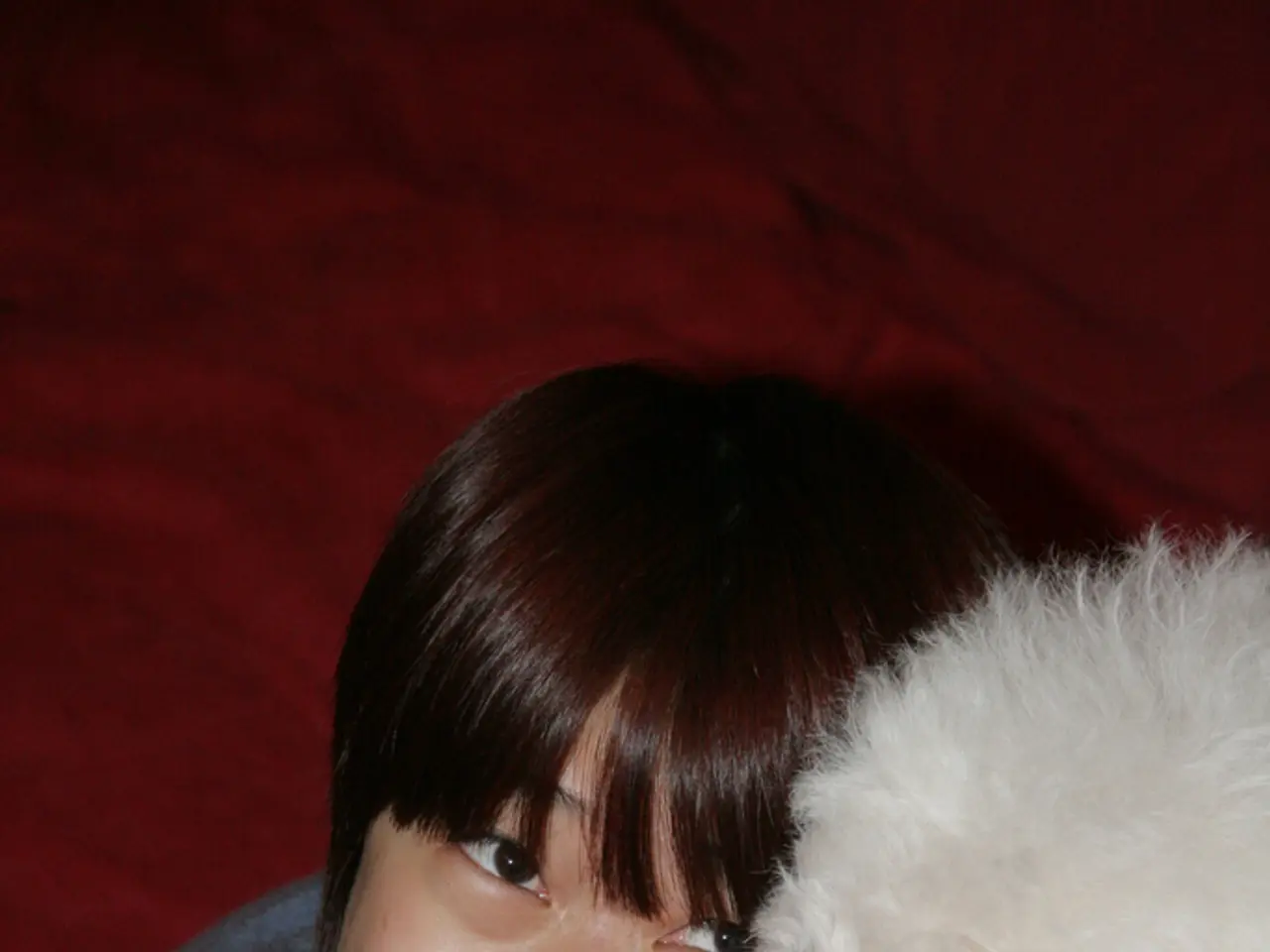 Domesticated Animals Kept for Companionship and Amusement