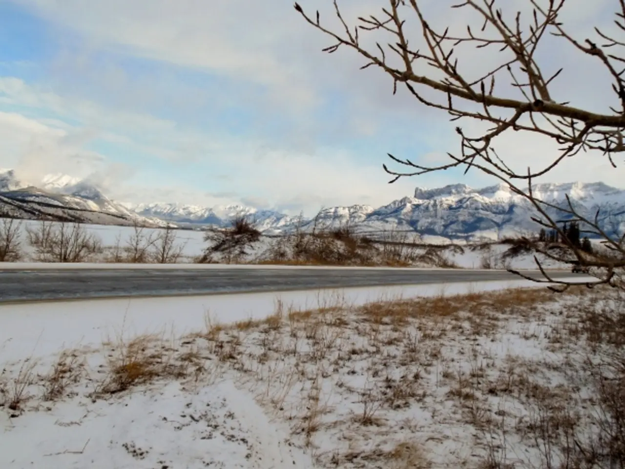 North American and European glaciers have experienced an extraordinary ice loss over the past 4...