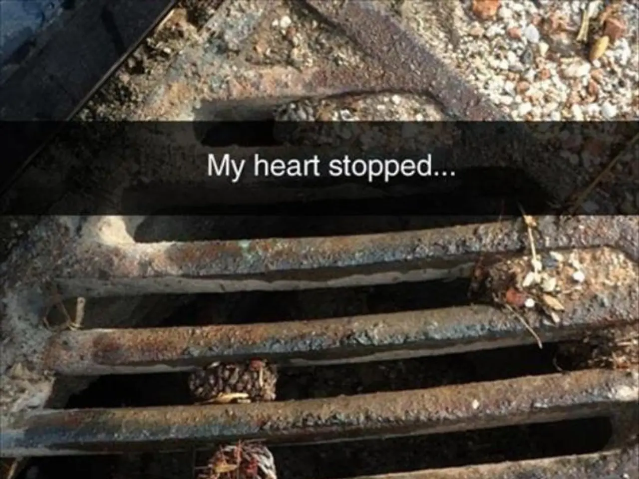 Heart Narrowing: Varieties, Causes, Remedies, and Further Insights