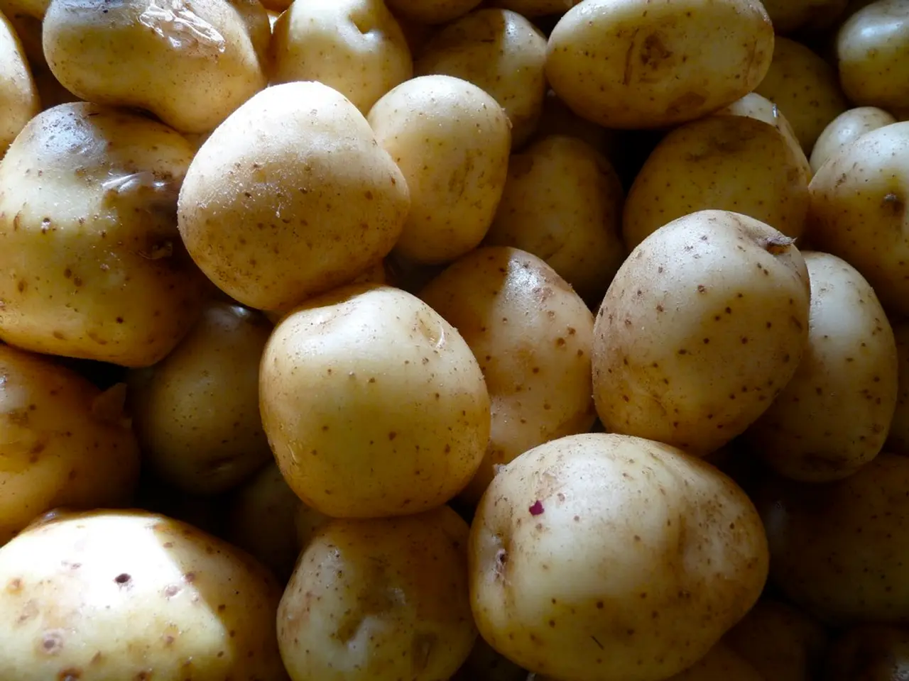 Potatoes Linked to Higher Risk of Type 2 Diabetes? Science's Verdict Explored
