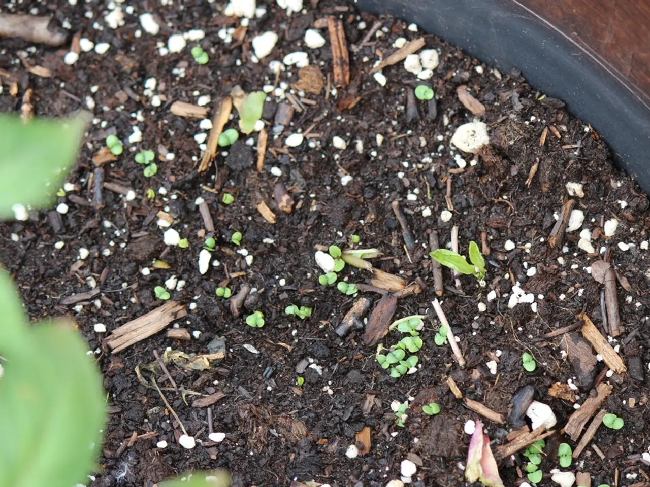 Various Chemical Fertilizers Employed in Indian Crop Farming