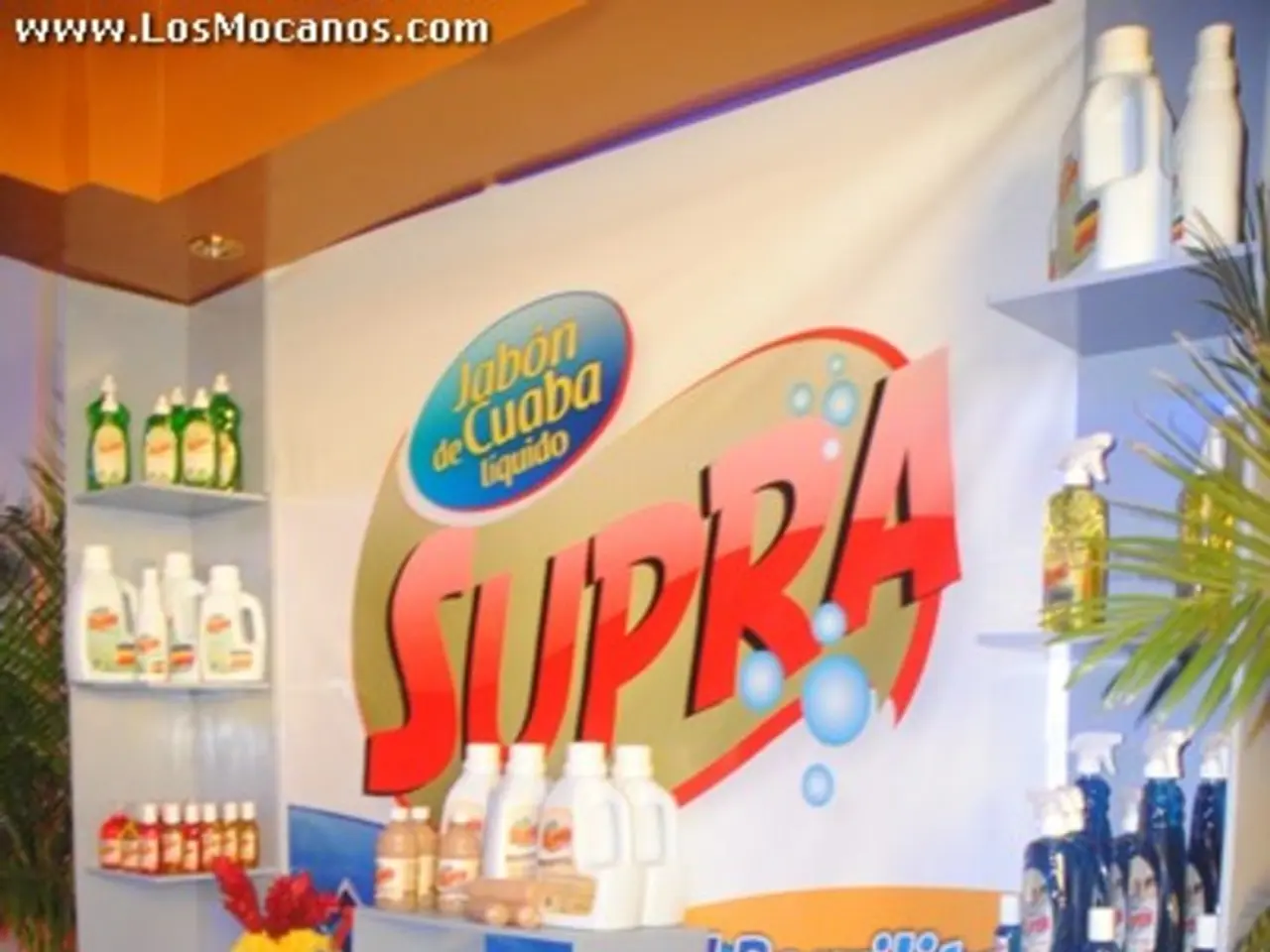 Lido-Sorb Pricing 2025: Deals and Discounts Availables