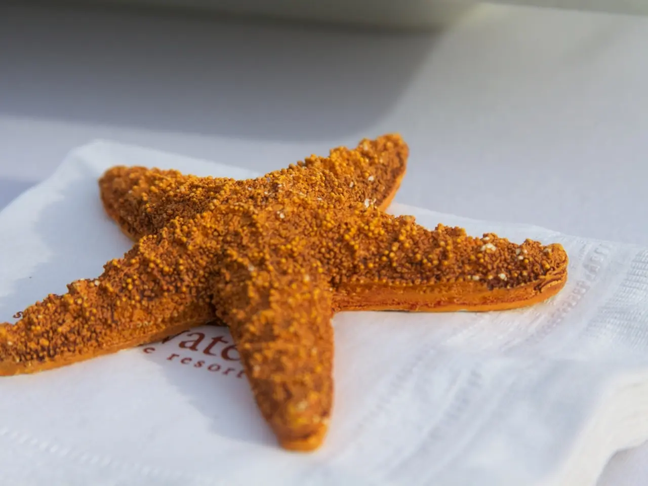 Visualizing the Hue of Adipose Tissue: An Inquiry into its Chromatic Properties.