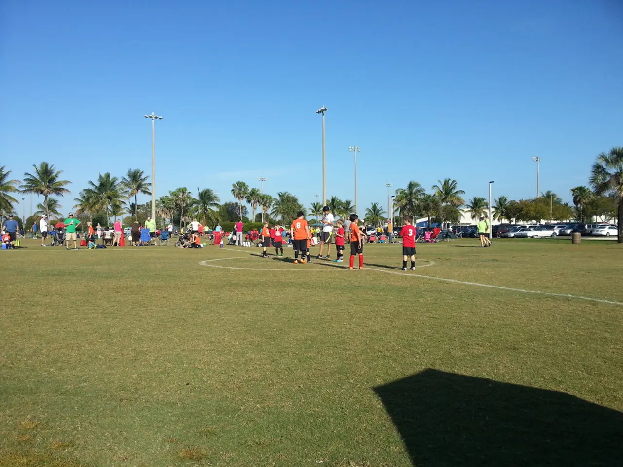 Regulation Implementation Acts to be Established, Outlining How to Use This Law