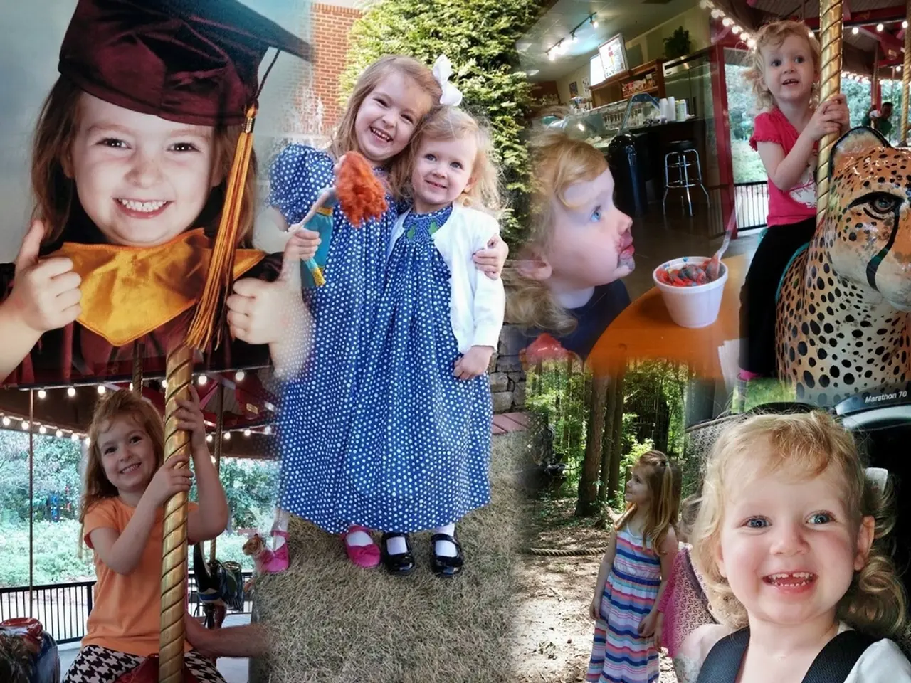 Commission to reveal insights from the outcomes of the work program.