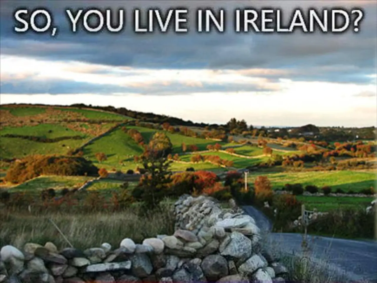 Cars in FW Hannover: Extremely hot weather caution: Never leave children and pets inside vehicles