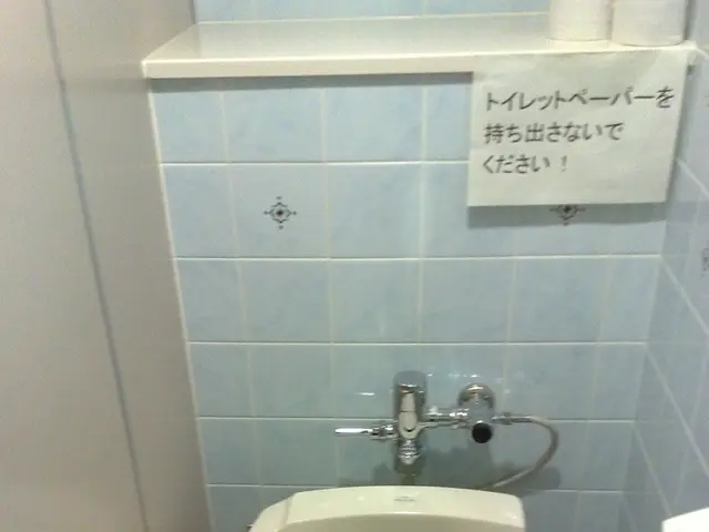 Repeated Toilet Paper Use After Bowel Movement: Causes and Remedies