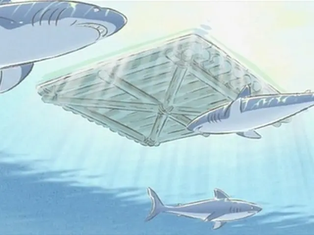 Sharks are perpetually in motion, but do they experience periods of slumber?