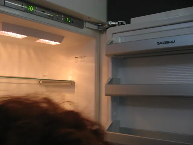 Key Nutrients Pivotal for Lustrous Hair Development Following a Transplant Procedure