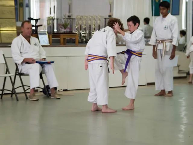 Enhanced Emotional Understanding Linked to ADHD and Emotional Guidance