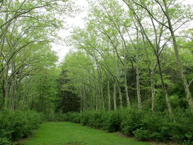 Changes to Biodiversity Net Gain Policies Threaten Natural Environment