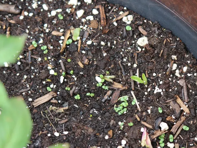 Test Kit for Evaluating Soil Integrity