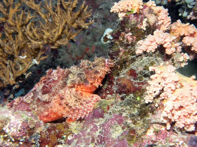 Escalating marine acidification triggers urgent demands for increased marine protection measures