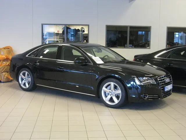 It's unclear which specific items are prohibited from being in vehicles during the summertime.