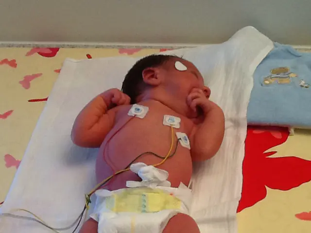 Pregnancy at 4 Weeks: Signs, Hormonal Changes, and Fetus Growth