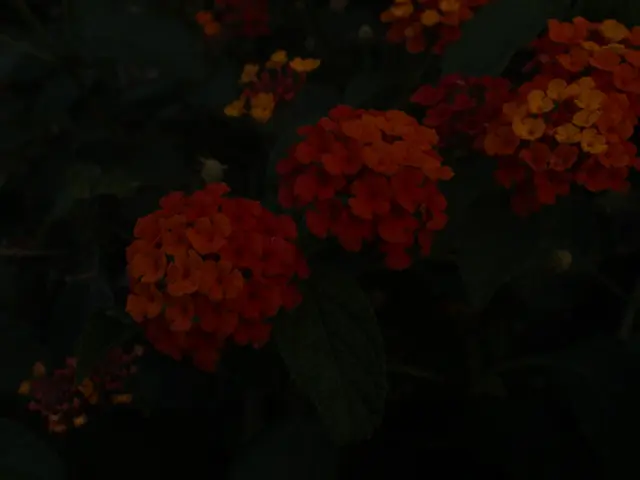 Maximizing Plant Growth through Soil pH Management