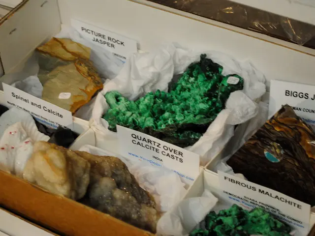 Recommendation for a proposal on securing labor from hazards caused by ionizing radiation exposure...