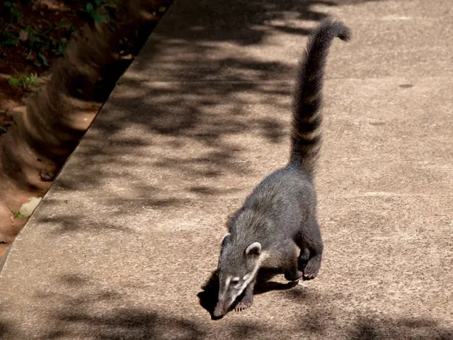 Understanding Cibophobia: An Examination of Food Fear