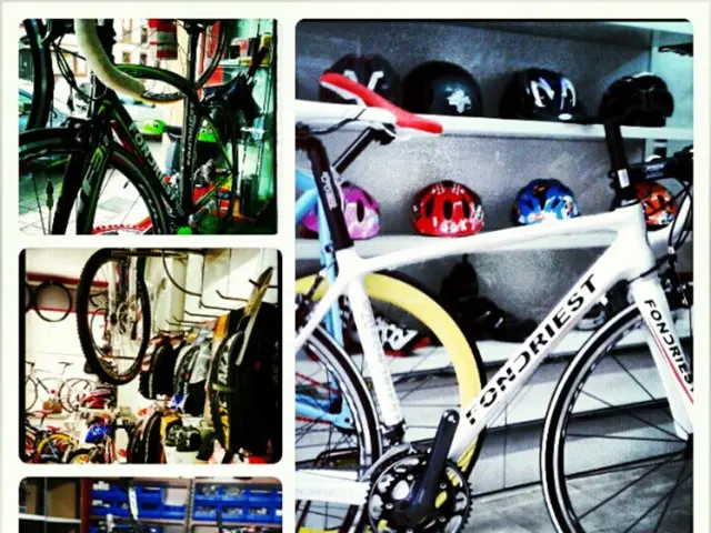 University to Greenlight Ketone Utilization Following Four-Year Investigation