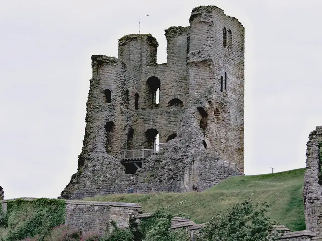 Encouraging Veterans to Begin Amidst Green: Nature as a Path for Renewed Existence