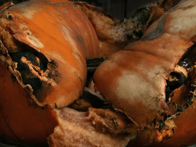 Guide to Procuring and Preparing Nutrient-Rich Animal Proteins, Focusing on Organ Meats