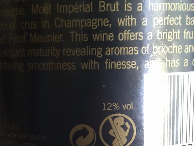 Navigating the Intricacies of Software Engineering for Medical Equipment