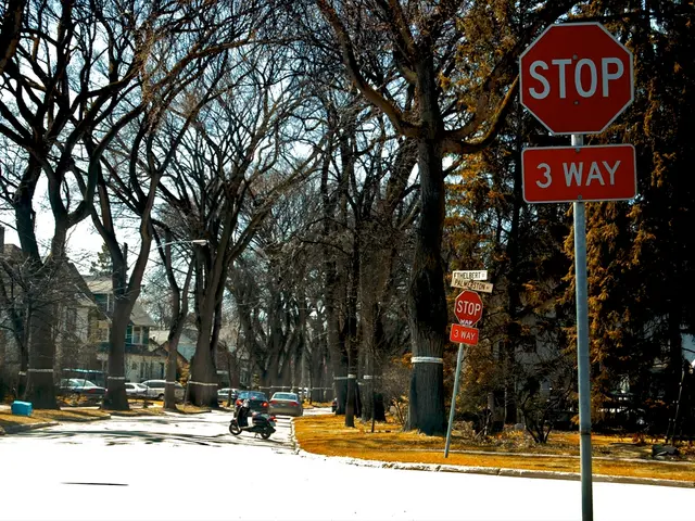 Law enforcement agencies are conducting investigations into the driving records of senior citizens.