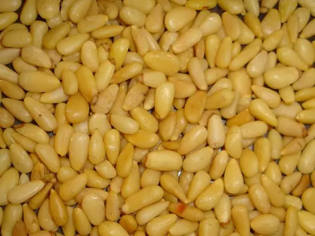 Indications of Ketosis: Identifying if the Ketogenic Diet is Successful