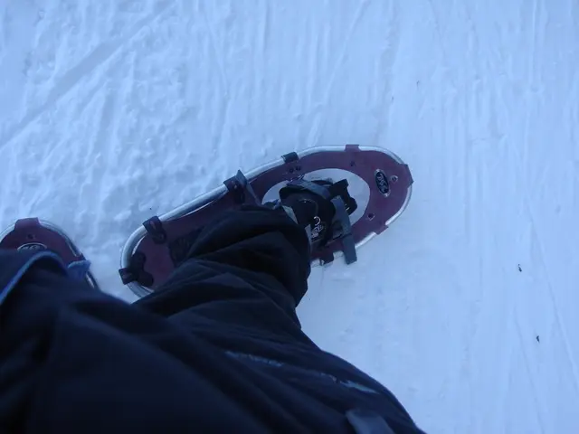 Home Remedies for Cyst Elimination: Exploring Options Beyond Medical Intervention