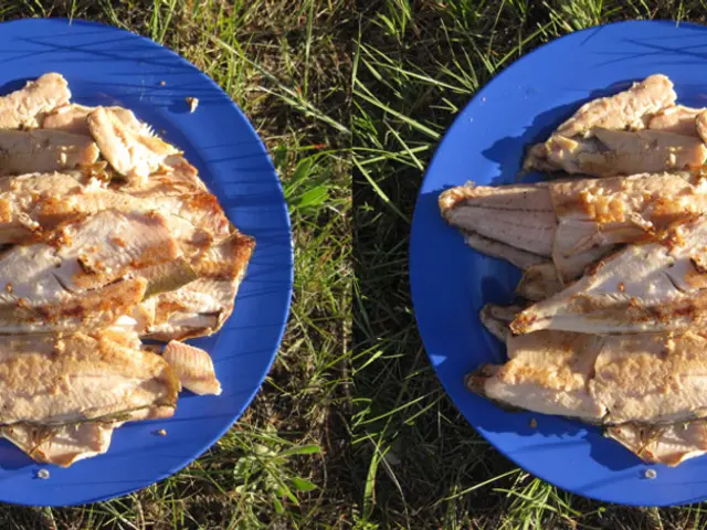 Contaminated Kolbas, containing controversial "meat adhesive," unearthed in Russia, also surfaces...