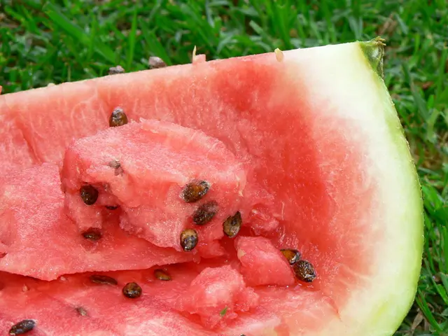 Russians learned discerning techniques for identifying chemically treated watermelons.