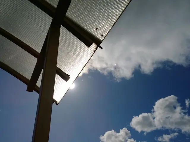 Understanding Lung Fibrosis: A Guide on Pulmonary Scarring