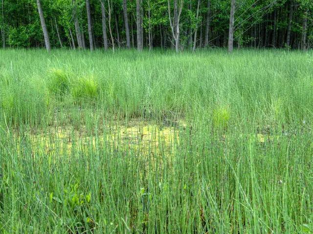 Guiding Farmers through Arthritis Management