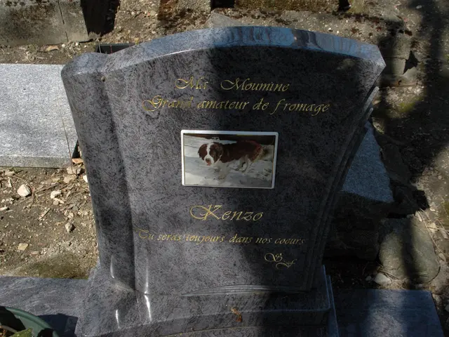 The insight obtained from an encounter with the deceased