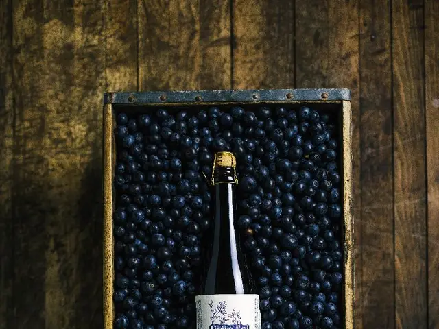 Seaberry Elixir, a healing concoction made from seaberries.