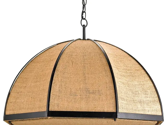 Brain's Unique Inhibitory Cells - Chandelier Neurons Explained