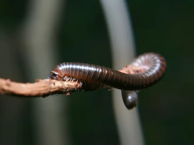 Biology Department Head Tania Baker Resigns from Position