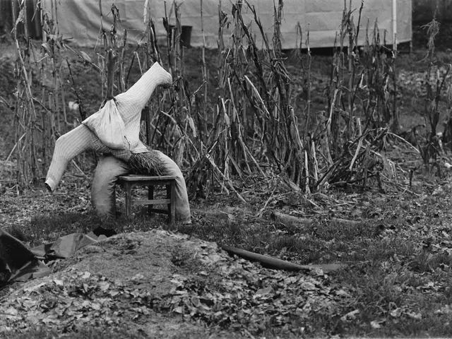 Top 15 Row Cover Insect Netting Choices for Defending Your Crop Productions in 2025