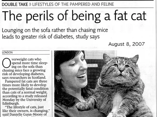 Domestic safety eroding: Enhanced backing for women's shelters and counseling facilities