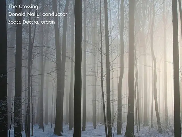 Act Now Before the Chance passes