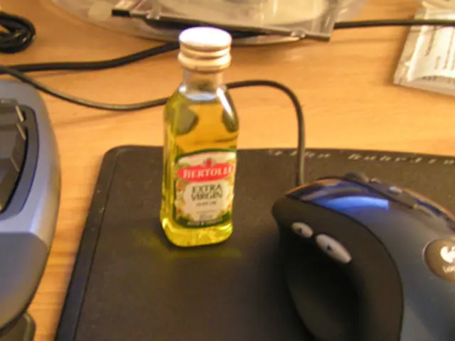 Decoding Neuron Enigmas: A Deep Dive into the Fundamental Components of the Brain