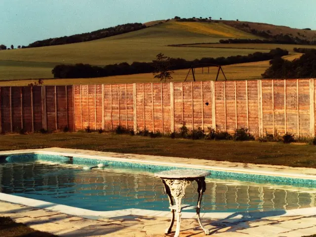 Swimming Season Arrives in Orange County: Is Responsibility for Injuries Borne by Homeowners and...