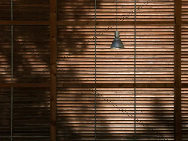 Understanding power outages: Symptoms, remedies, preventive measures, and additional insights