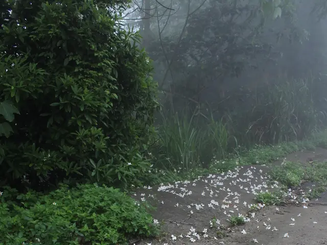 Gene Activation Halts Colon Cancer Progression in Mice within 4 Days