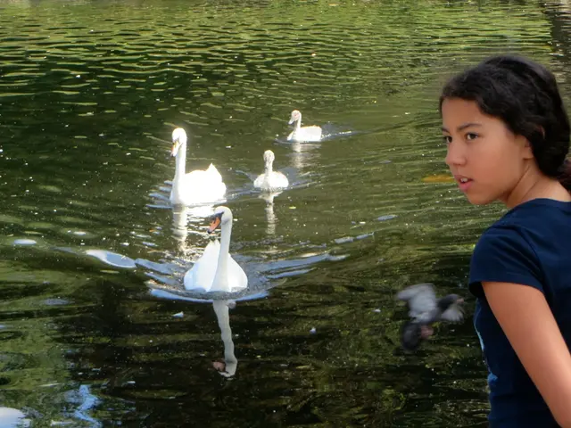 Guide to Transformational Leadership in Nursing Profession | Becoming a Transformational Leader in...