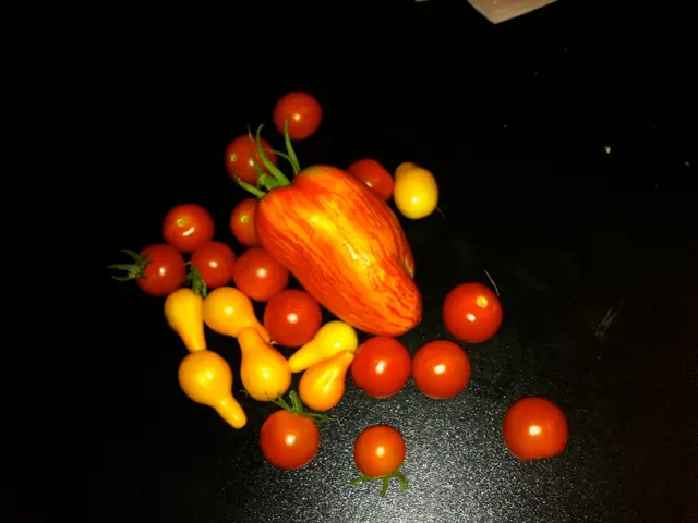 Impact of a diet solely consisting of fruits on physical constitution